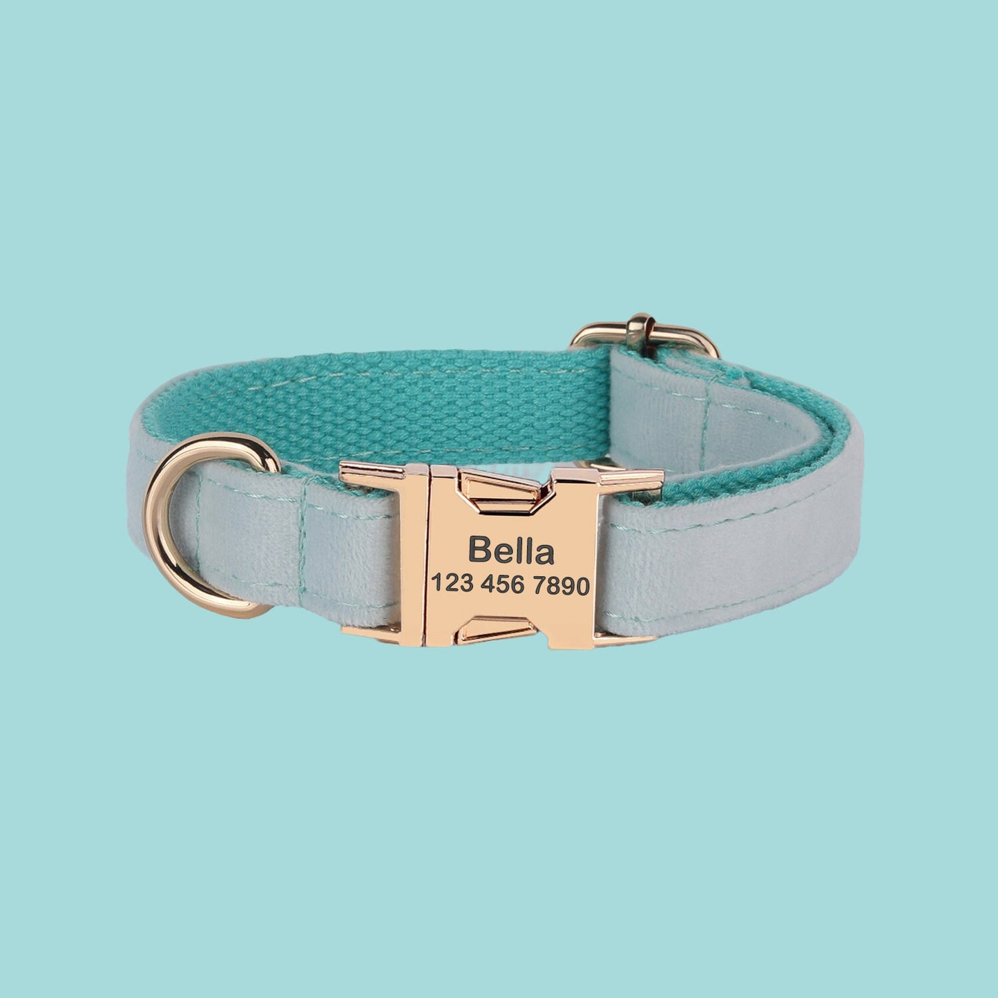 a dog collar with a name tag on it