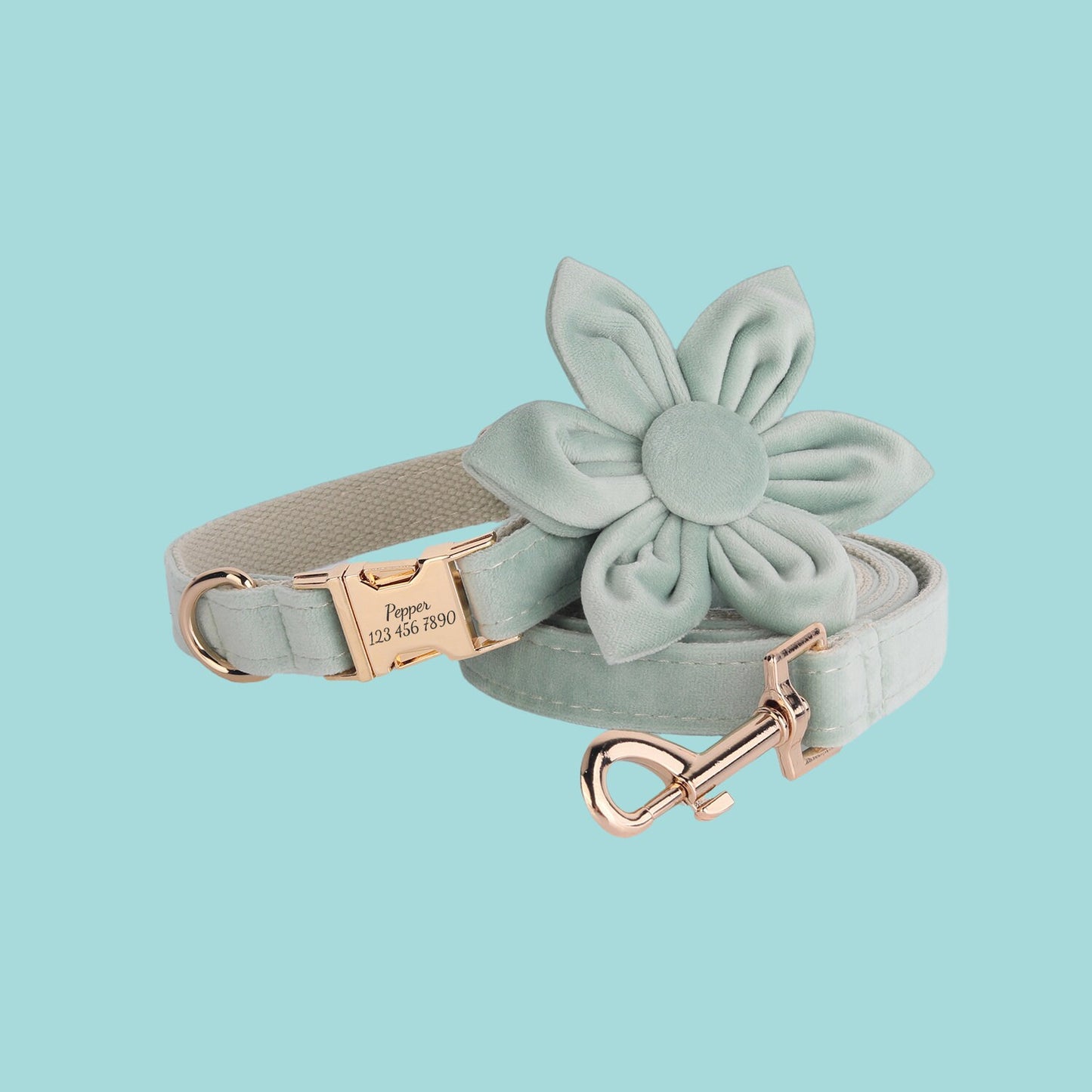 a dog collar with a flower on it