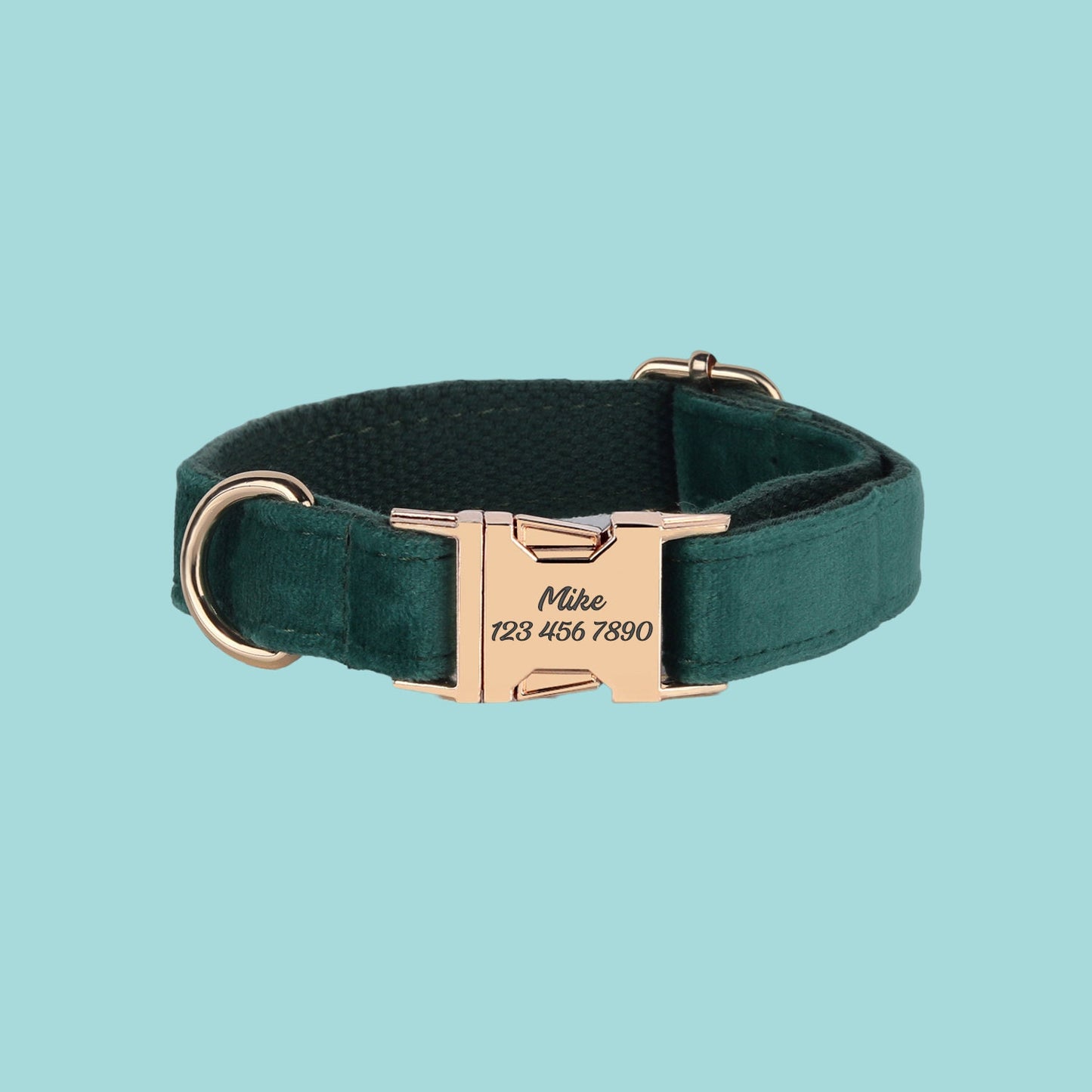 a green collar with a gold buckle on it