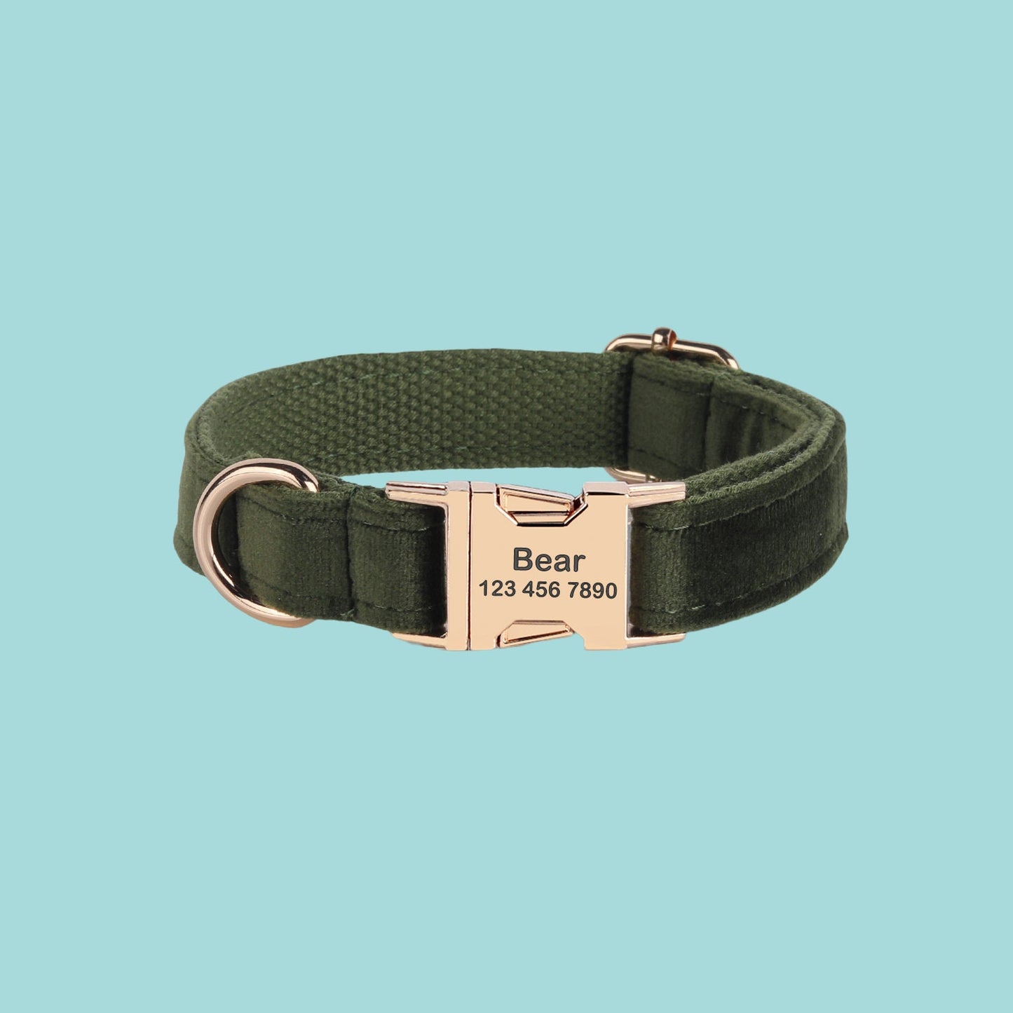 a green collar with a gold buckle on it