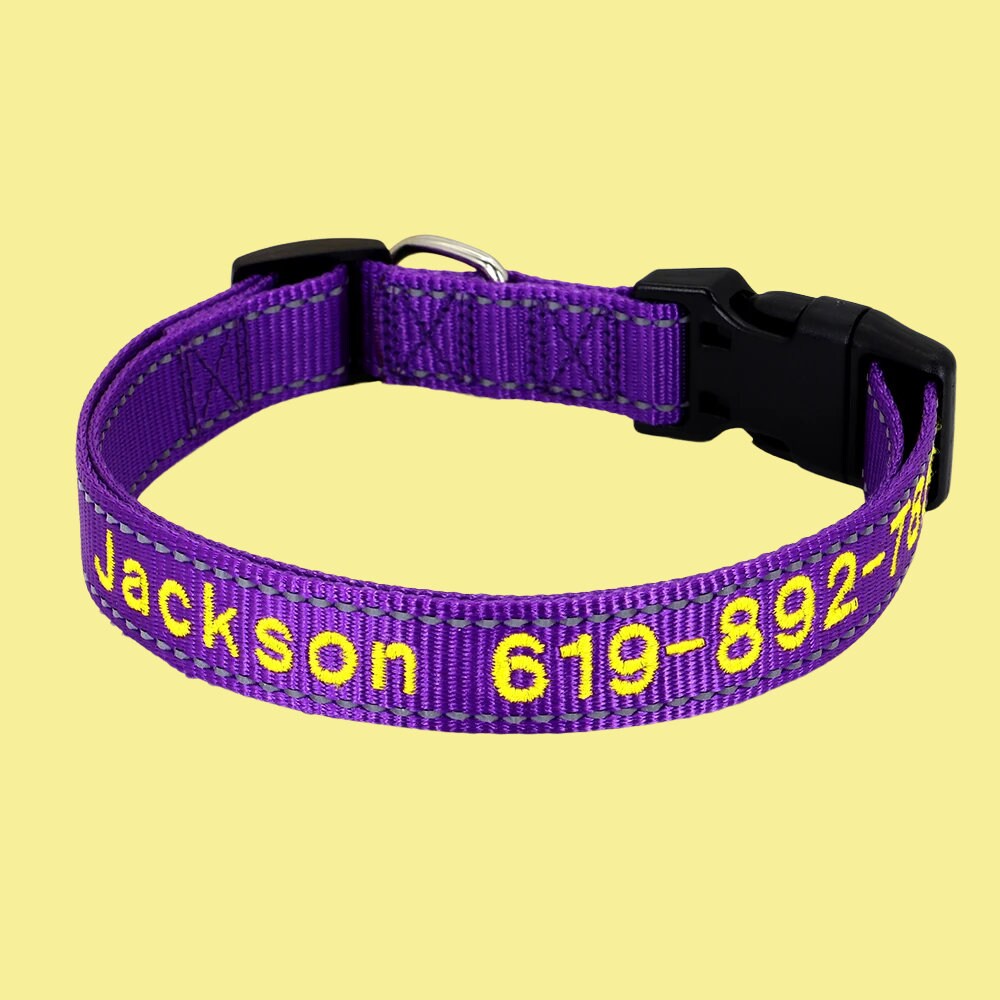 a purple dog collar with the name jackson on it